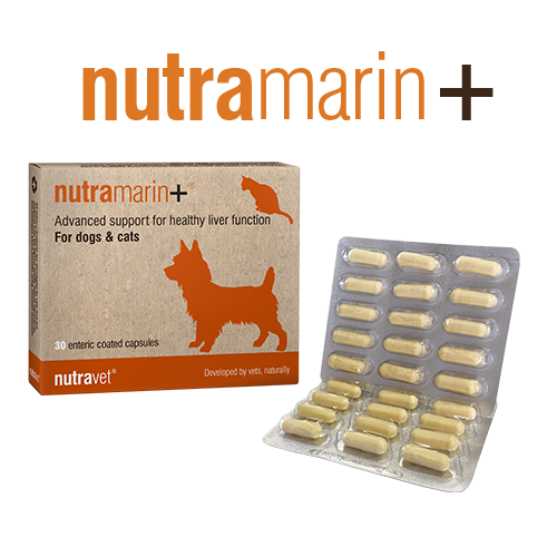 nutramarin+